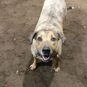 Meet your Posher, Deb